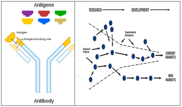 Antibodies and Managing Open Innovation