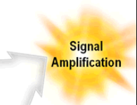 Signal Amplification