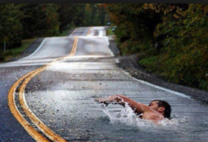 swimming-along-the-transformational-road